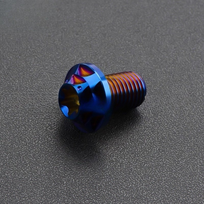 Titanium Bolt M10x10-40mm Plum Head Torx T50 Screws Gr5 for Bike Motorcycle Car