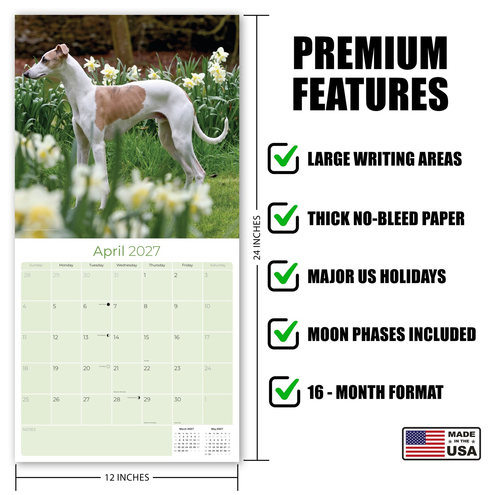 Whippet Dog Breed Calendar 2024 FULL SIZE 12×24 Made in USA