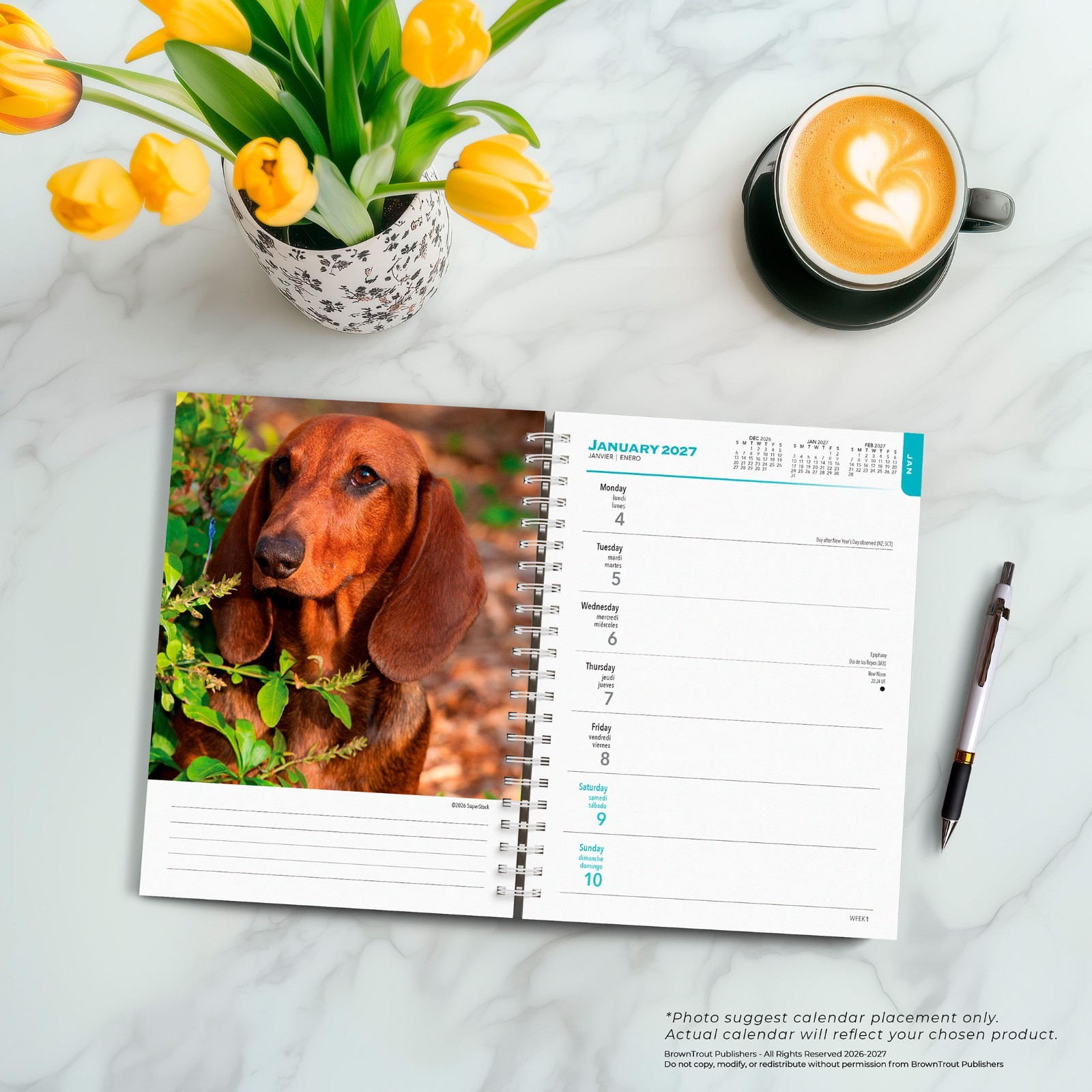 Dachshunds | 2027 6×7.75″ Spiral-Bound Wire-O Weekly Engagement Planner Calendar