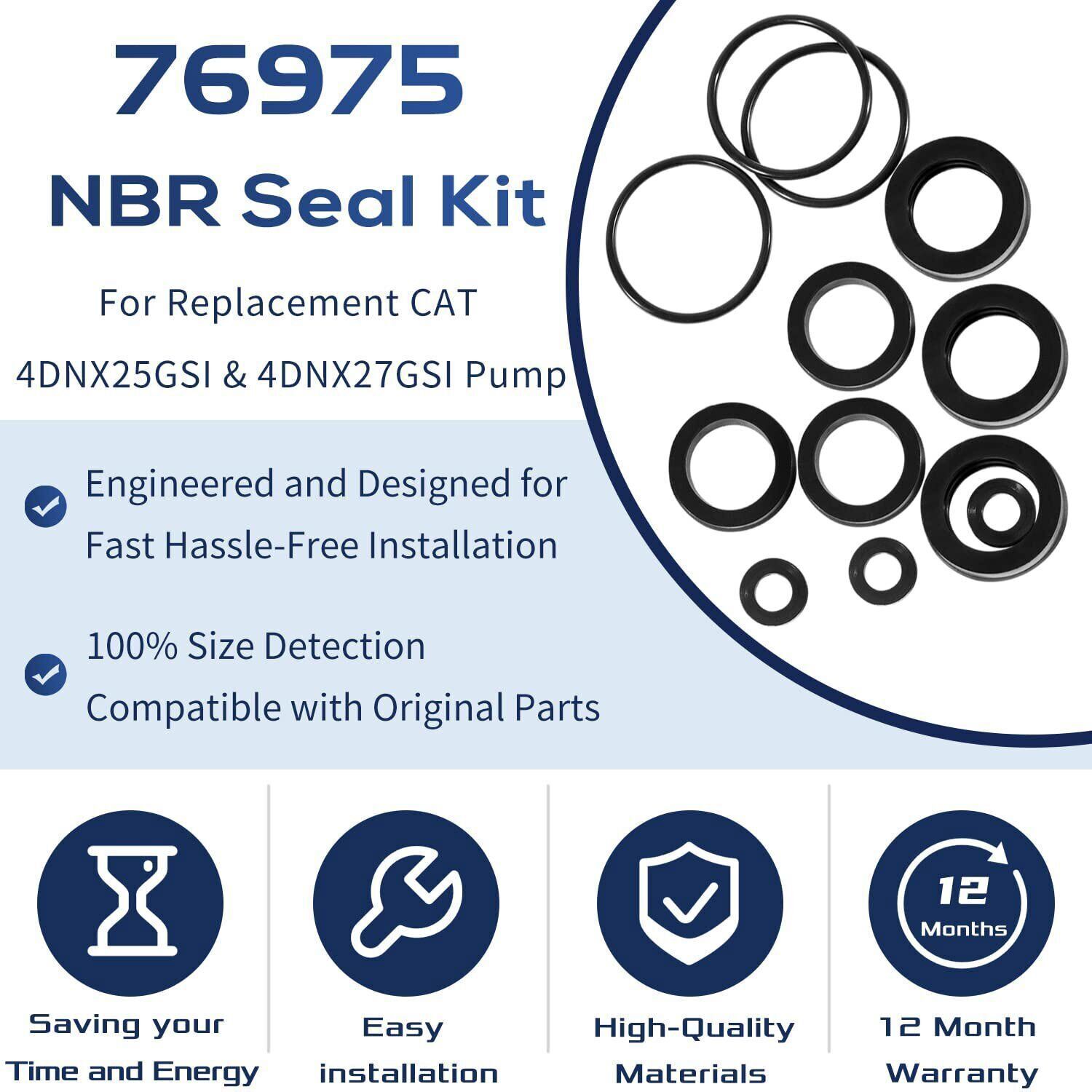 76975 Seal Kit 12Pcs For Cat Pump 4DNX Pumps 4DNX25GSI 4DNX27GSI CAT Seal Kit