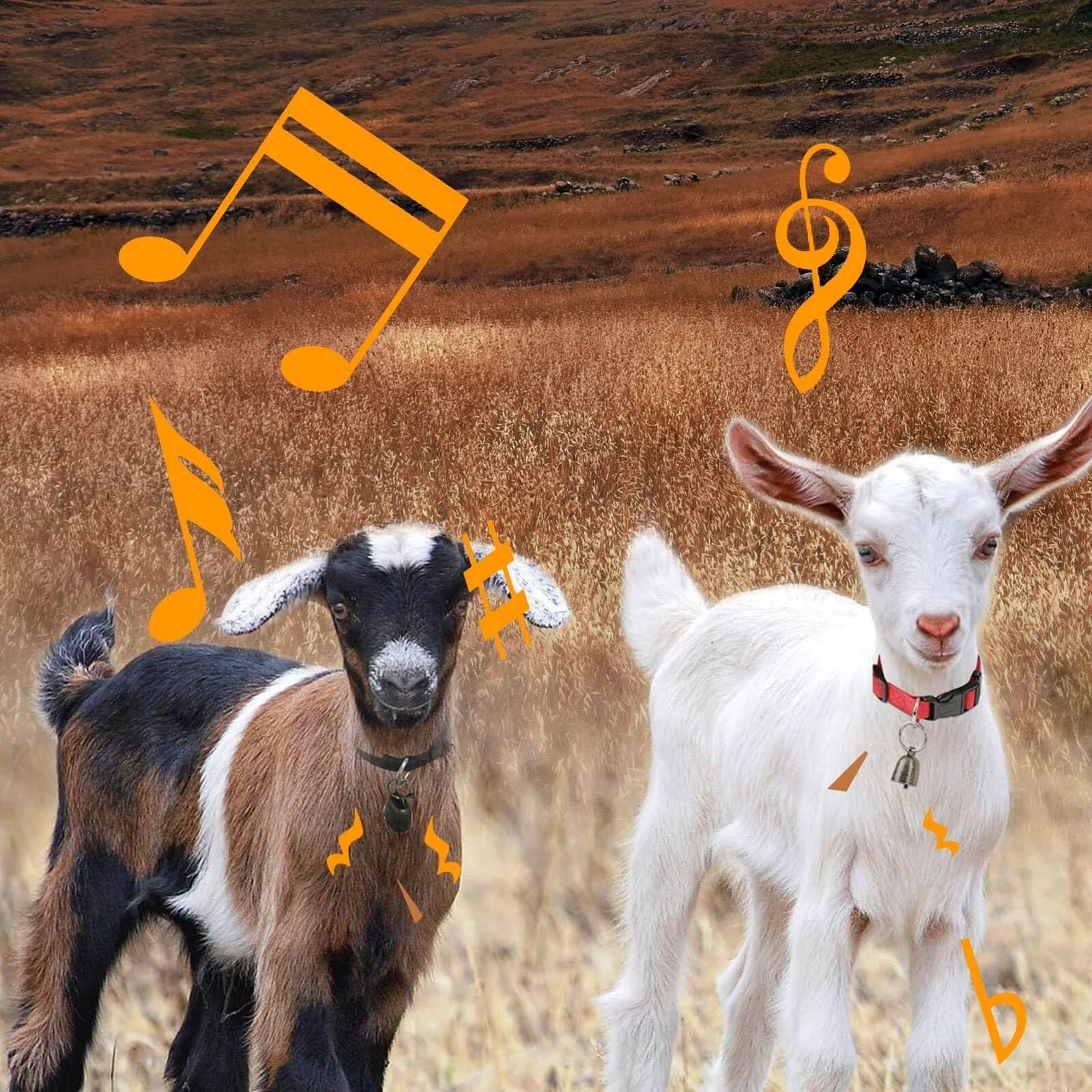 Pack Reflective Goat Collars with Adjustable Nylon and Copper Bells Size L