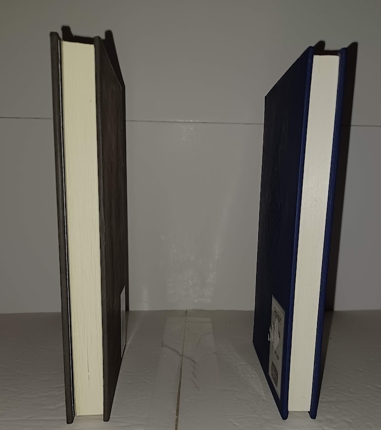 JOURNALS 2 Book Lot Set Markings Line Ruled Diary Pages Diaries Writing Thoughts