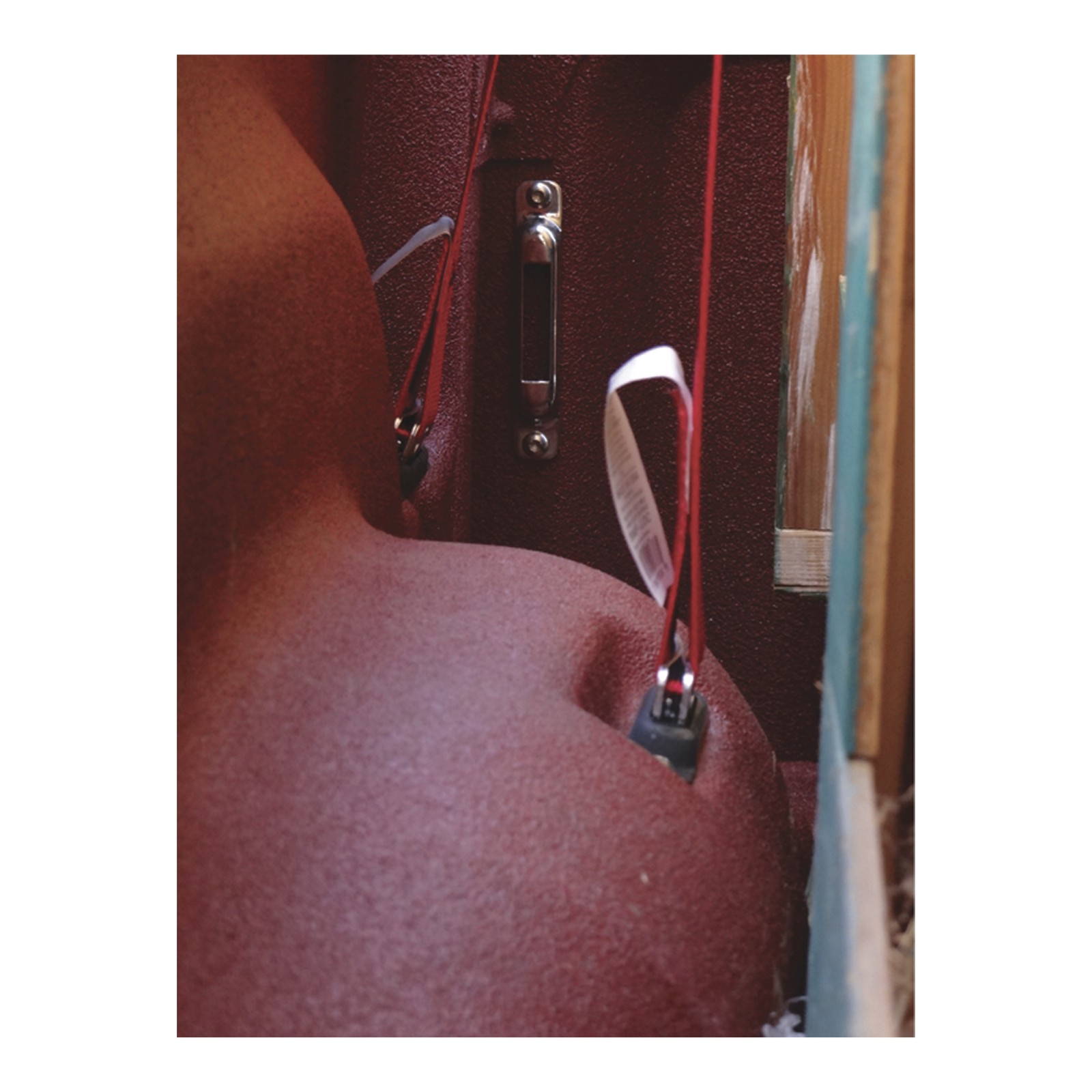 Snap-Loc E-Track Single Cargo Control E-Strap Anchor – Stainless Steel,