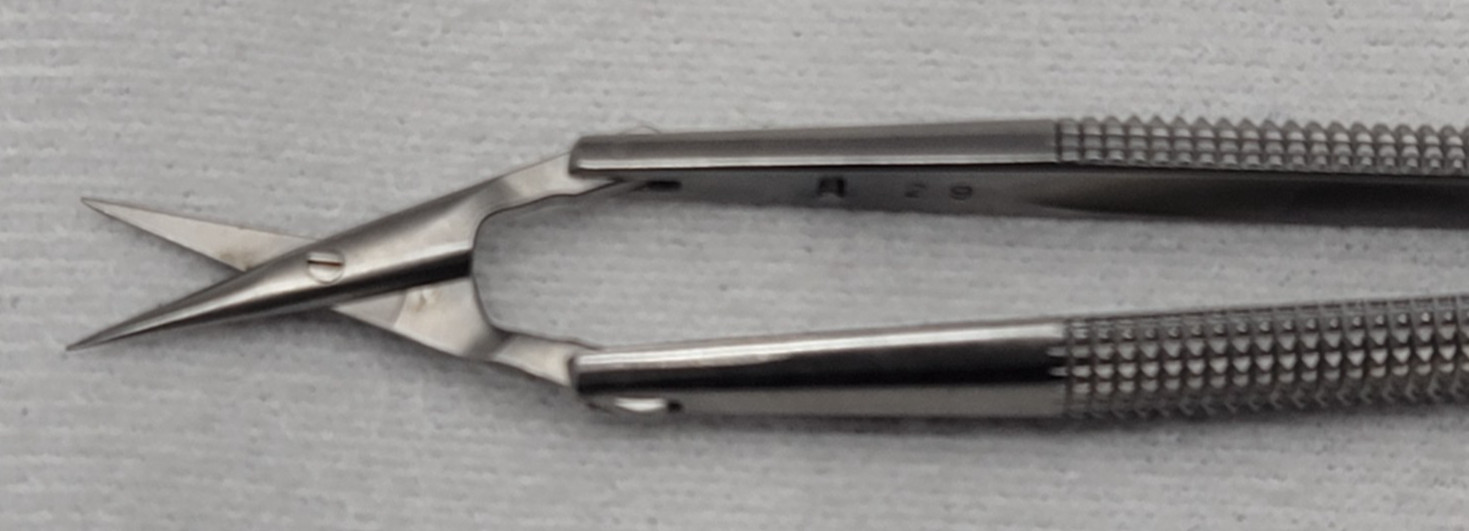 ASSI Adventitia Scissors SAJ-15RM-8 15cm Straight Blade 14mm Round Handle