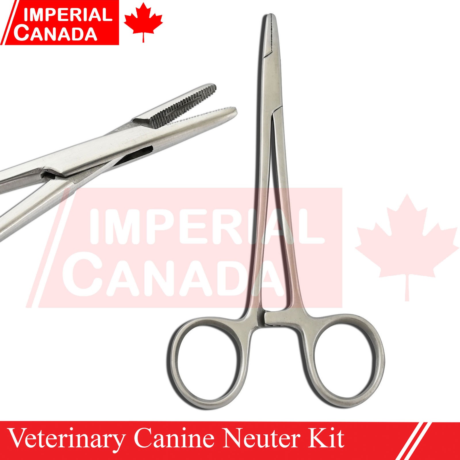 Feline Spay Pack Kit Contain Basic Surgery Instruments Set Surgical Econ DS-2240