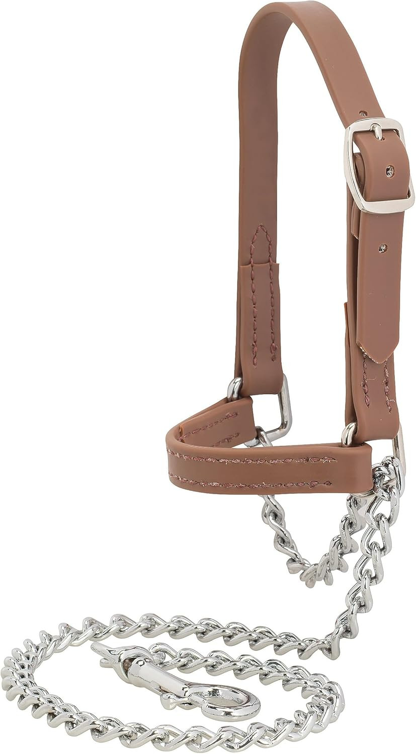 Weaver Leather Livestock Adjustable Brahma Webb Goat Halter