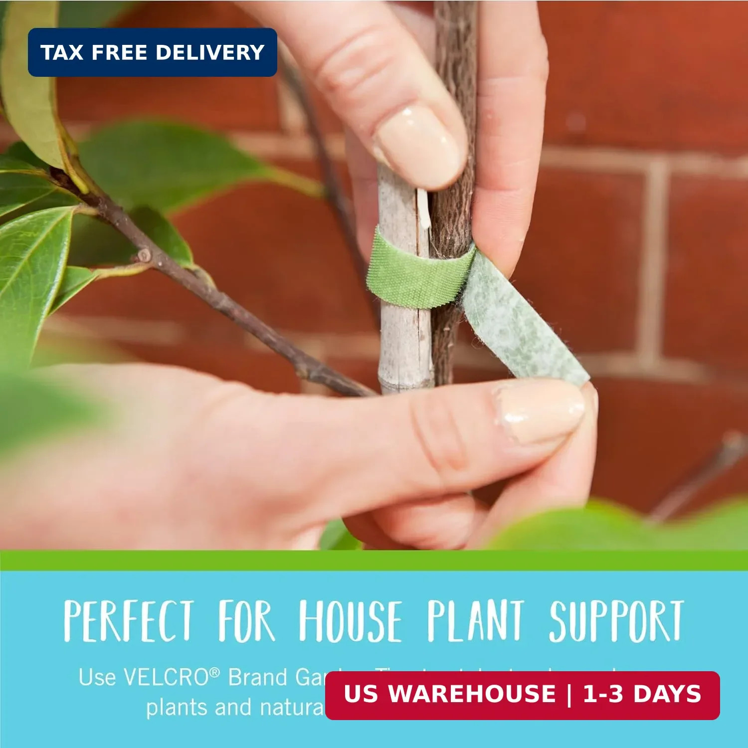 VELCRO Brand Adjustable Plant Ties | 75 ft x 1/2 in Green Garden Tape | Reusable