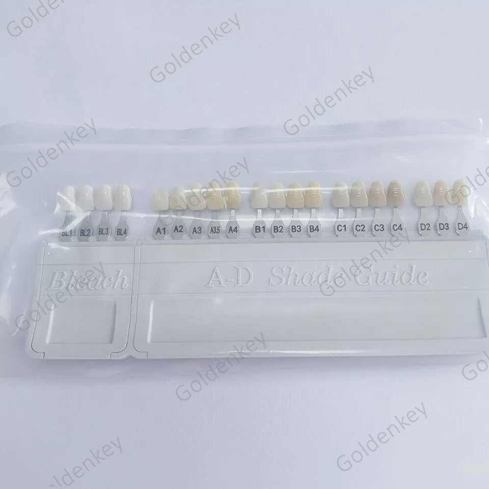 Dental Teeth Shade Guide Porcelain Ivoclar 20Color A-D Tooth 4 Bleach Vivadent