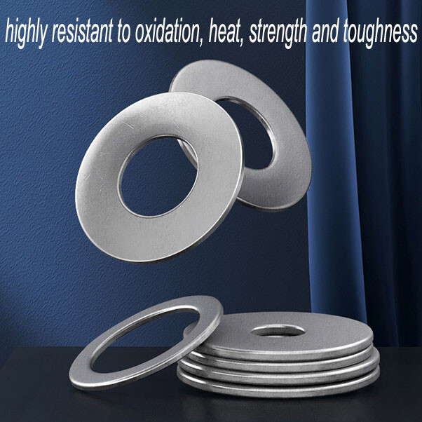 Penny Repair Washers Mudguard Washer M1.6 M2 M3 M4 M5 M6-M36 Stainless Steel A2