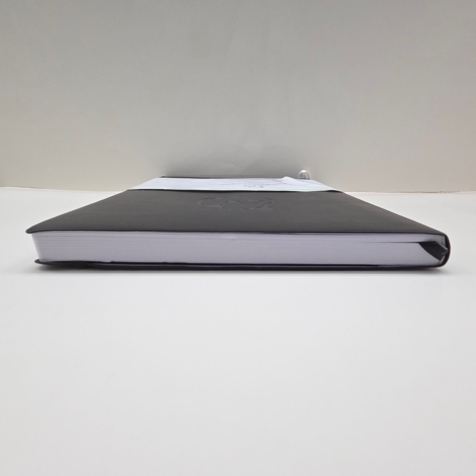 Panda Planner Pro Non-Dated 6 Month Weekly Daily Softcover Black Lg 8.5″ x 11″
