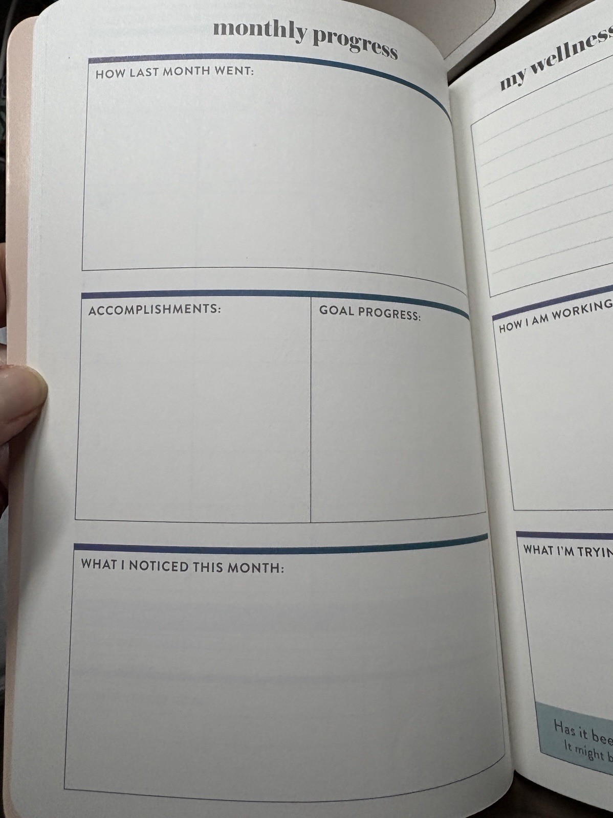 Erin Condren Wellness Log Journal Petite Planner Exercise Food Log Habit Track
