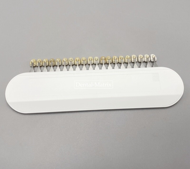 Ivoclar Vivadent Dental Teeth Shade Guide A-D 20 Colors Porcelain Color Chart