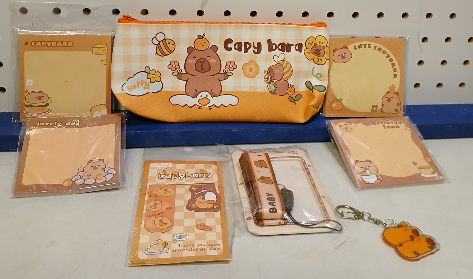 CAPYBARA Lot Lanyard BOOKMARK Pencil Case KEY CHAIN Sticky Notes CUTE Kids ADULT