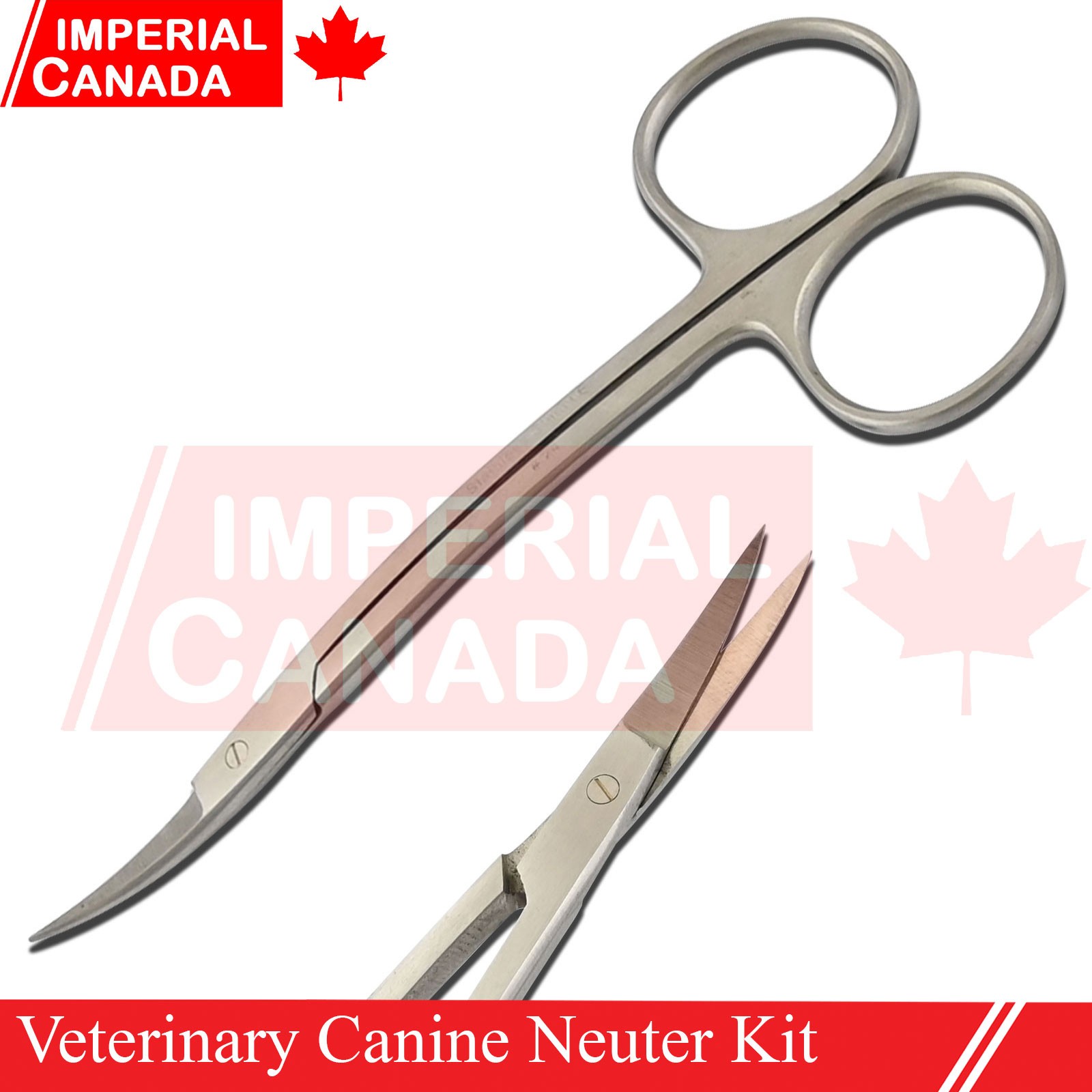 Feline Spay Pack Kit Contain Basic Surgery Instruments Set Surgical Econ DS-2240