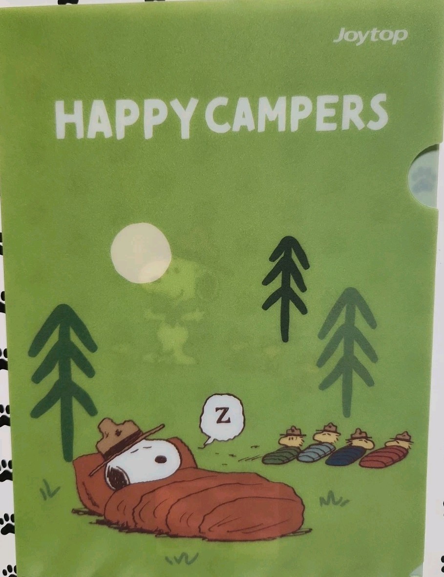 Peanuts Snoopy Beagle Scout 2 Plastic Pocket Folder Set Lg 12×8.5 Small 8.75×6.5