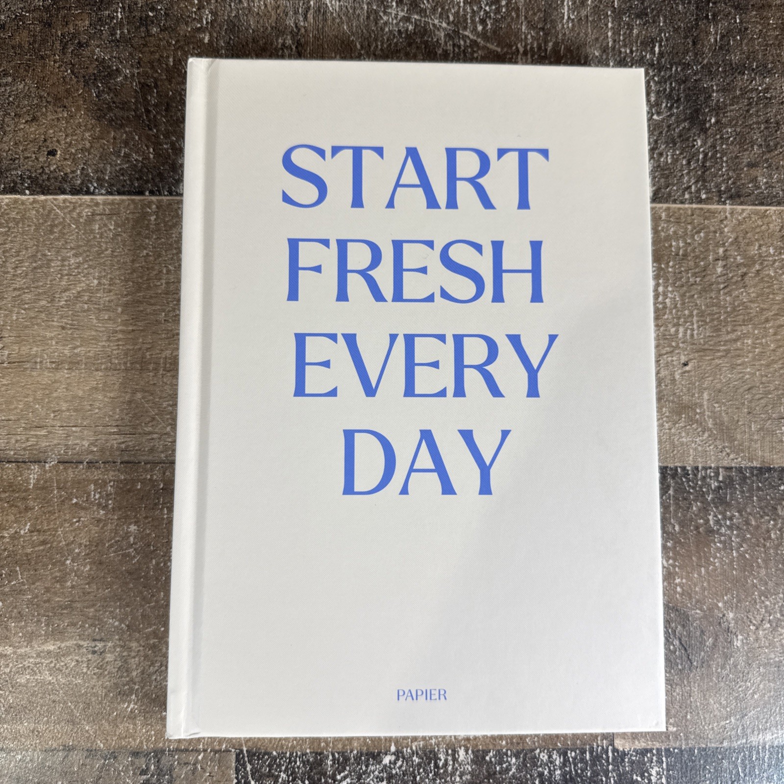 BRAND NEW PAPIER Blue & Cream Start Fresh Everyday 16 Week Productivity Planner