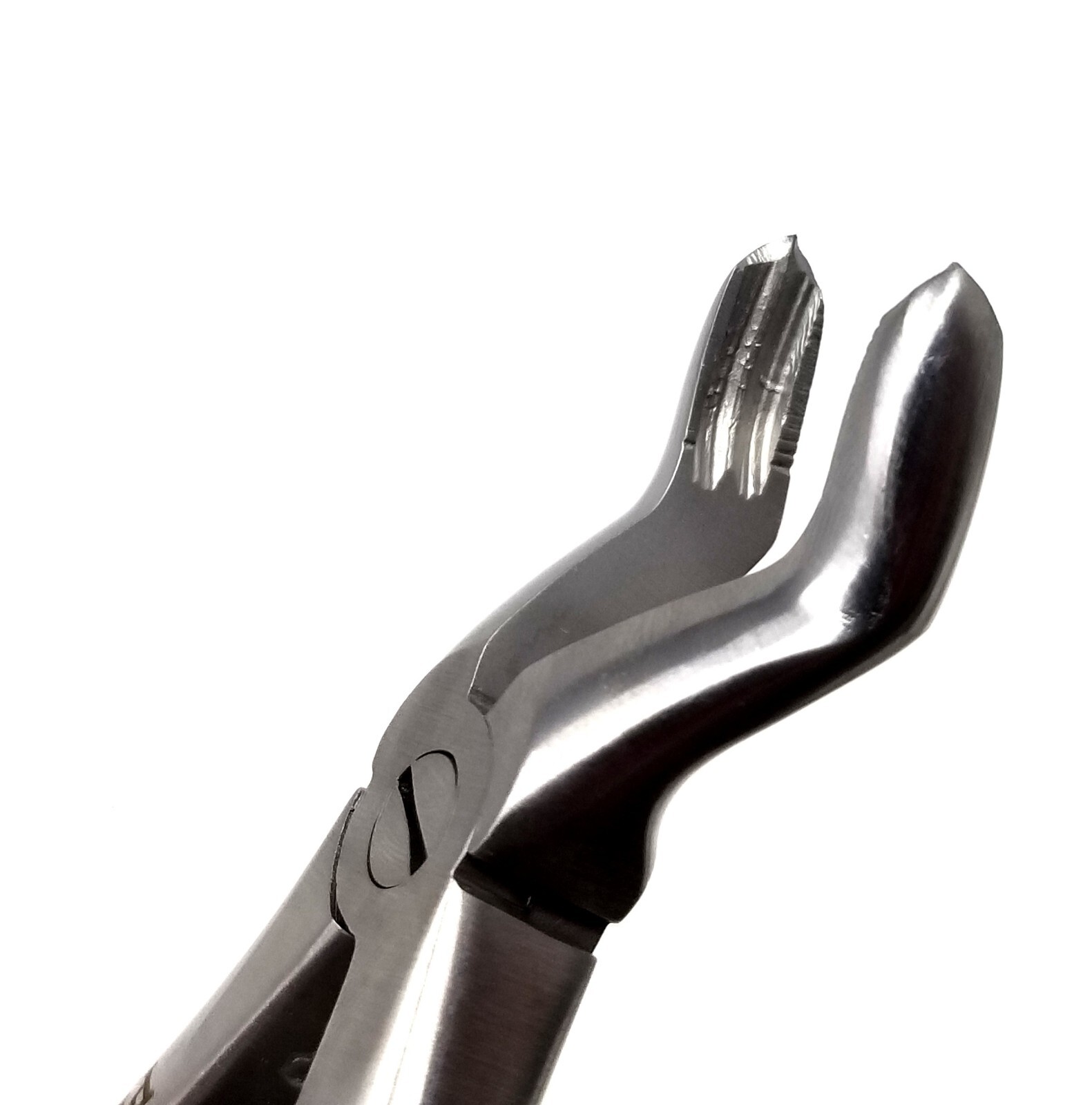 Pedo Extracting Forceps #C Lower Molar Pedodontic Dental Surgical Inst German Gr