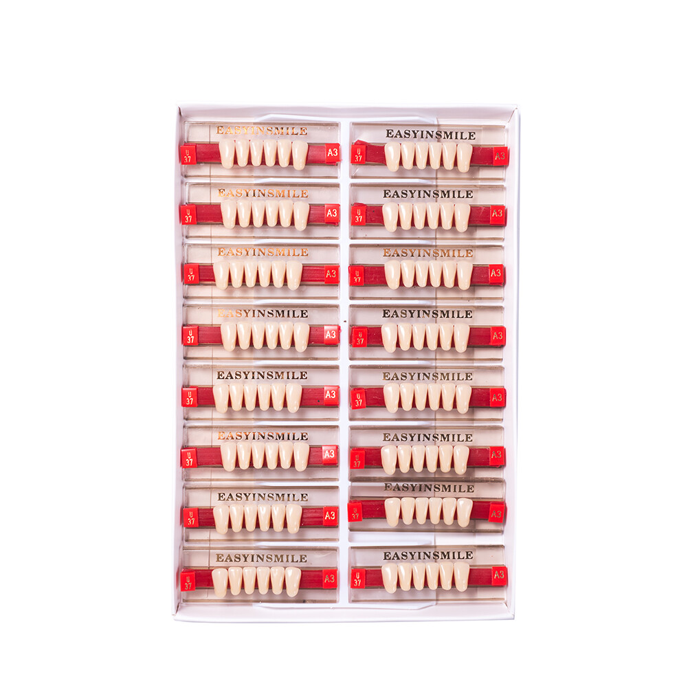 Dental Acrylic Resin Denture Teeth False DIY Full Set Anterior Posterior A1A2A3
