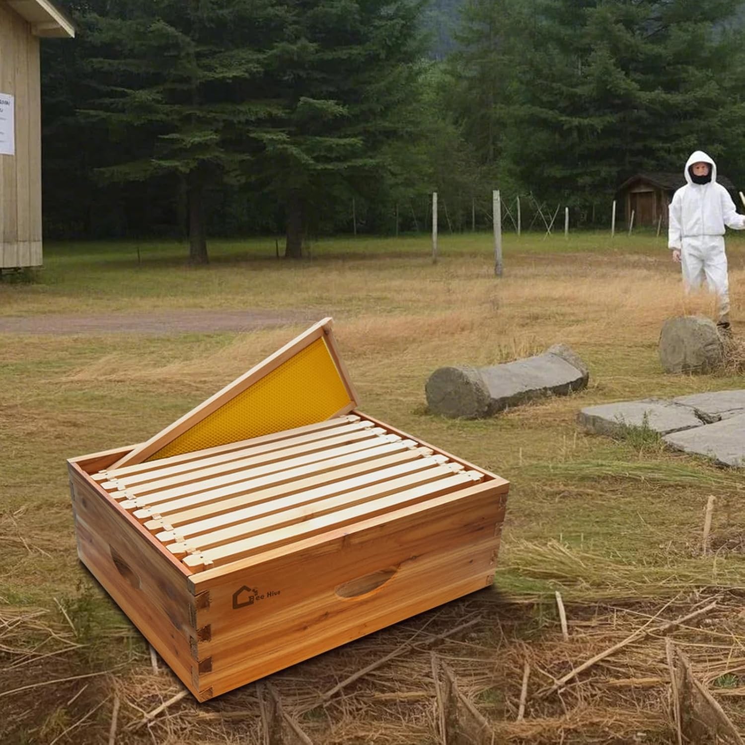10 Frame Medium Super Bee Hive Box Langstroth Honey Bee Hive Dipped in 100%