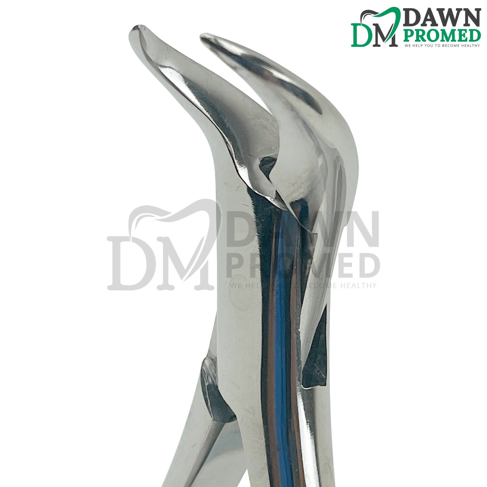 Dental Extracting Forceps #23S For Lower Molars Cow Horn Dental Inst German Gr
