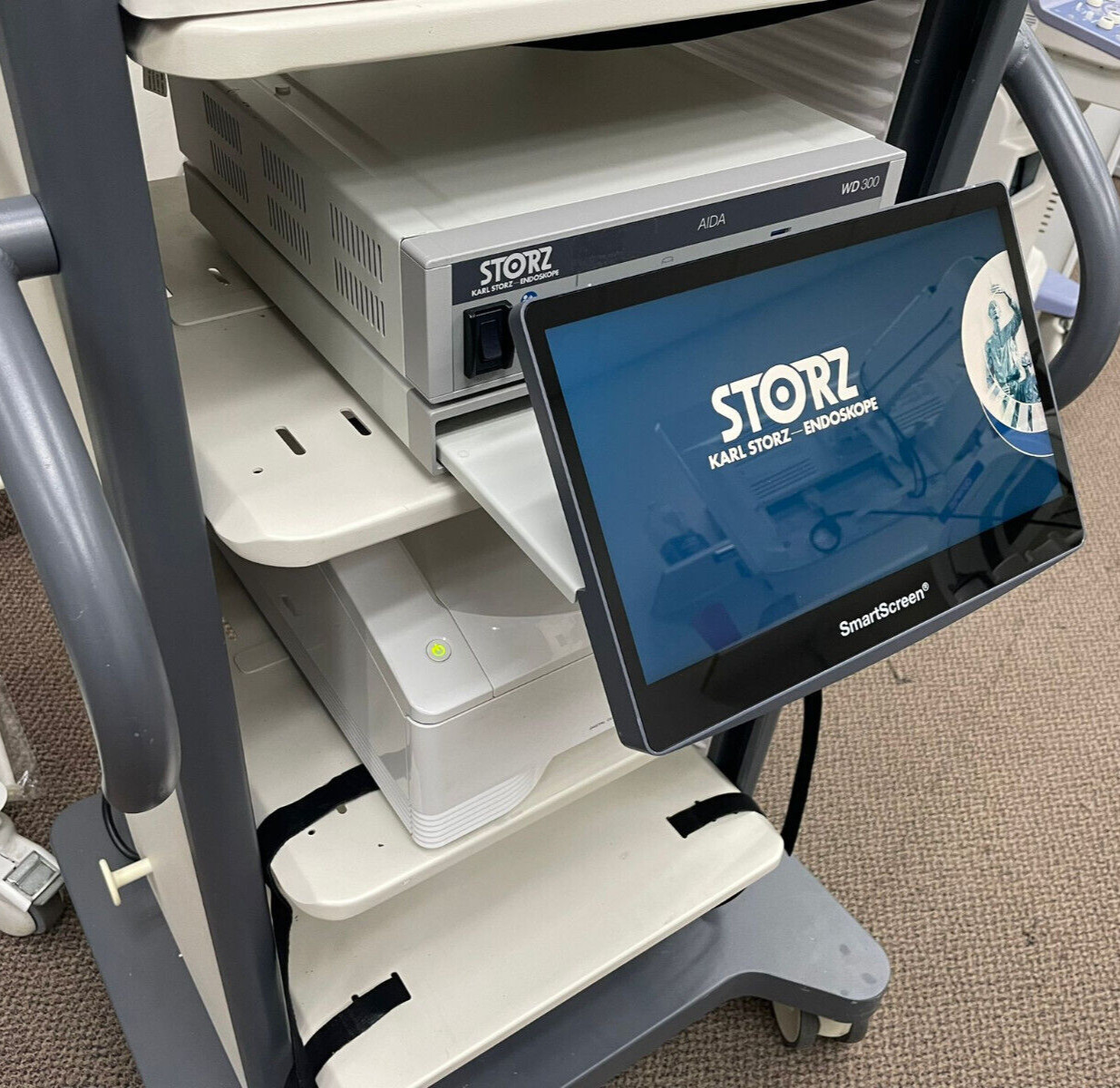 Karl Storz WD300 4K AIDA Image Capture & WM200 Smart Screen w/ UP-DR80MD Printer