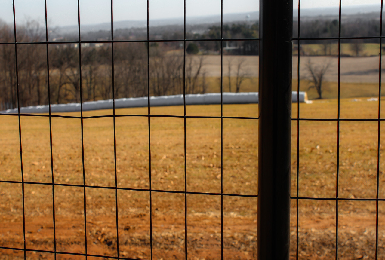 4’x100′ 12.5ga Galv Steel Black PVC Coated Welded Wire 2»x4» – Animal Fencing