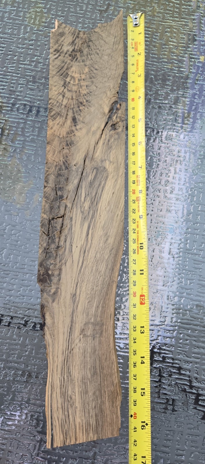 Rare Crotch Walnut Veneer Sheet 16″x3″ Feather Figure Luthier Woodworking