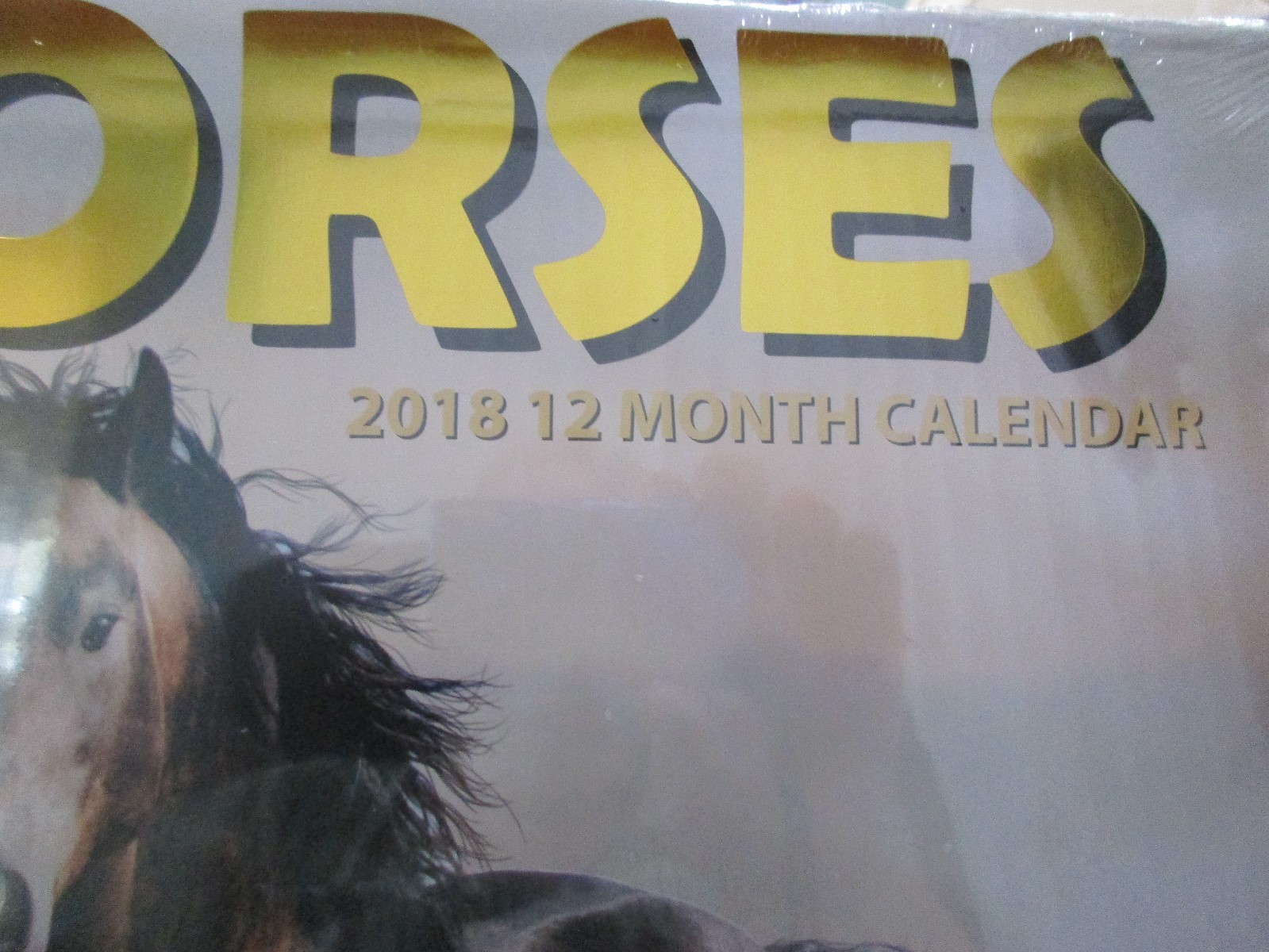 Horses 2018 Calendar 12 Months Pinto Palemino Black Brown Race 12″ X 12″
