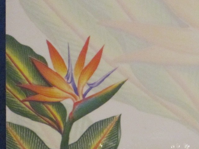 Aloha Stick ‘N Notes – 50 Sheets / Bird of Paradise 2 – Designed in Hawaii