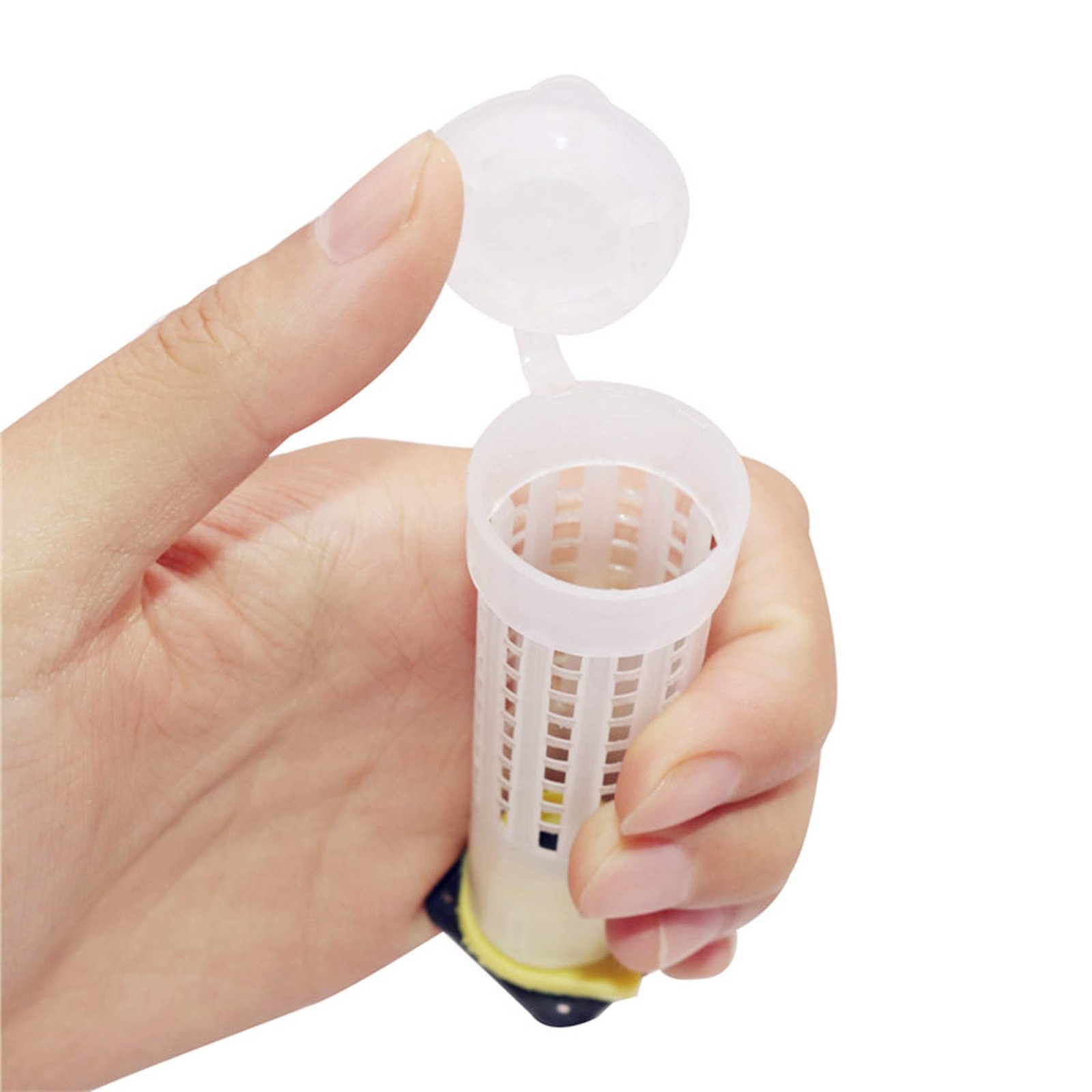 30pcs Queen Bee Roller Cages -Plastic Beekeeping Rearing Cup Kit Queen bee Rolle