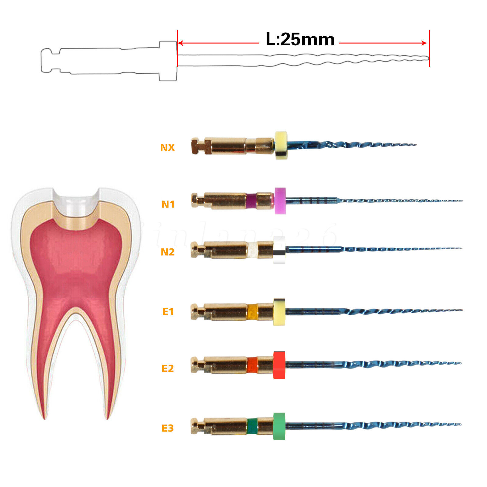 Dental Endodontic Endo Memory Engine Rotary Root Canal NiTi File 25mm files 6PCS