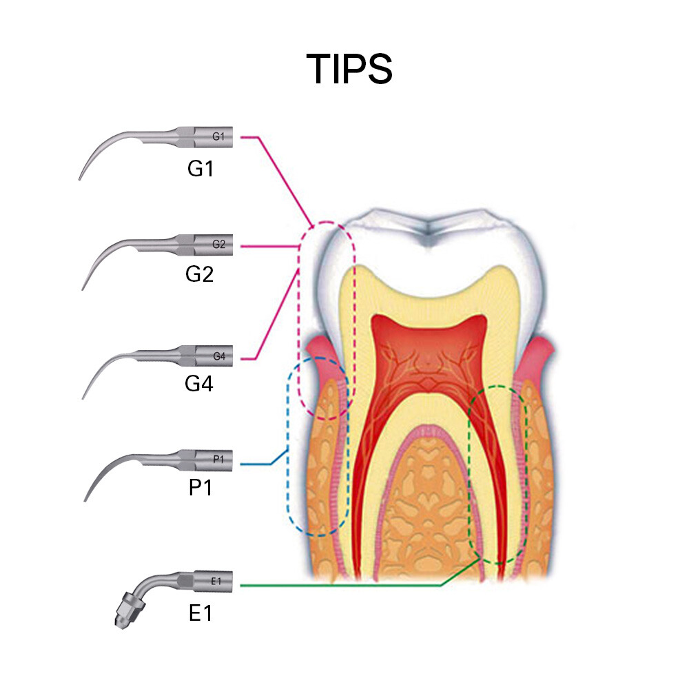 Dental Unidad de entrega portatil móvil Compresor de aire Succión 4Hole