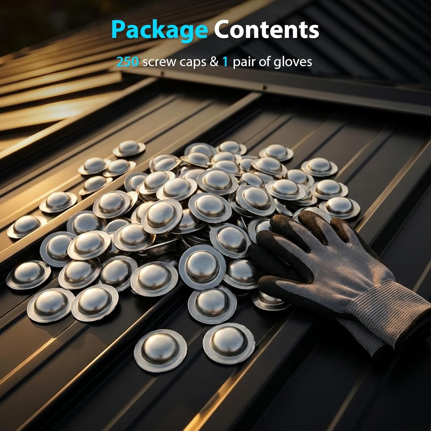 Stainless Steel Roofing Screw Caps for Roof Leak Repair,Directly Cover ,250 Pcs