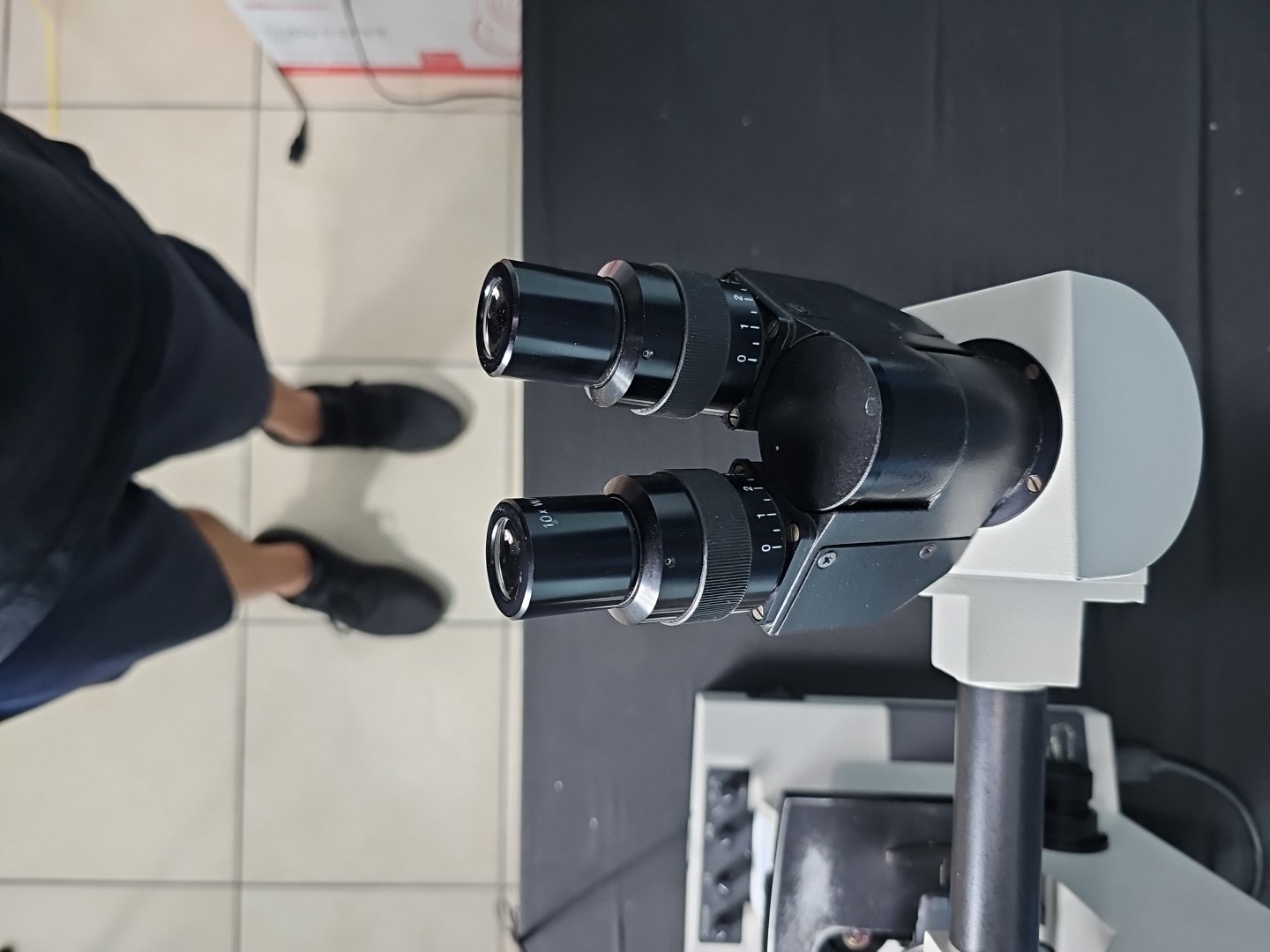 Reichert Microstar IV 410 Dual Head Microscope W/ 4x, 10x, 40x, 100x/1.25