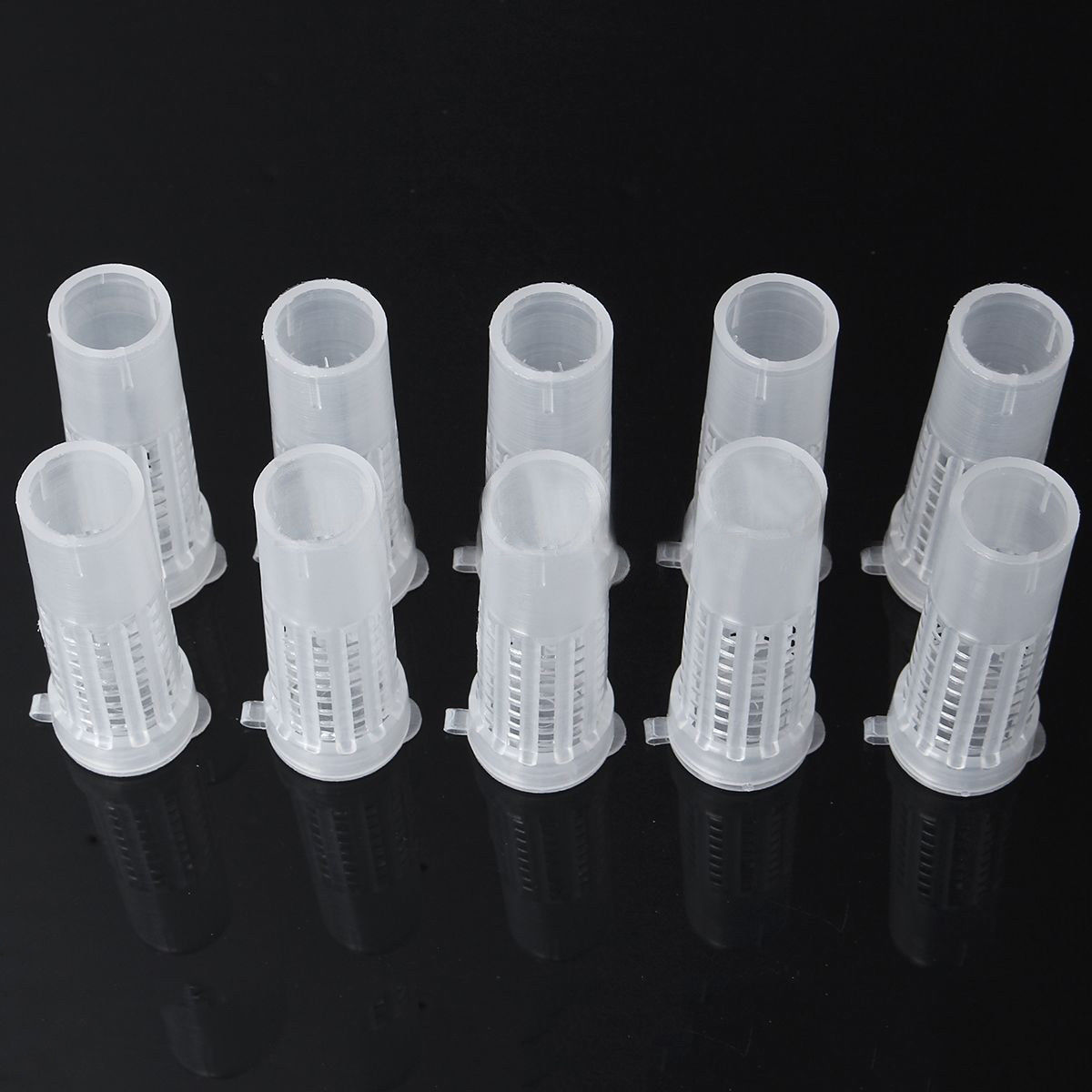 New Bee Queen Rearing Cupkit Complete Box System Beekeeping Cage Kit / Set Cup