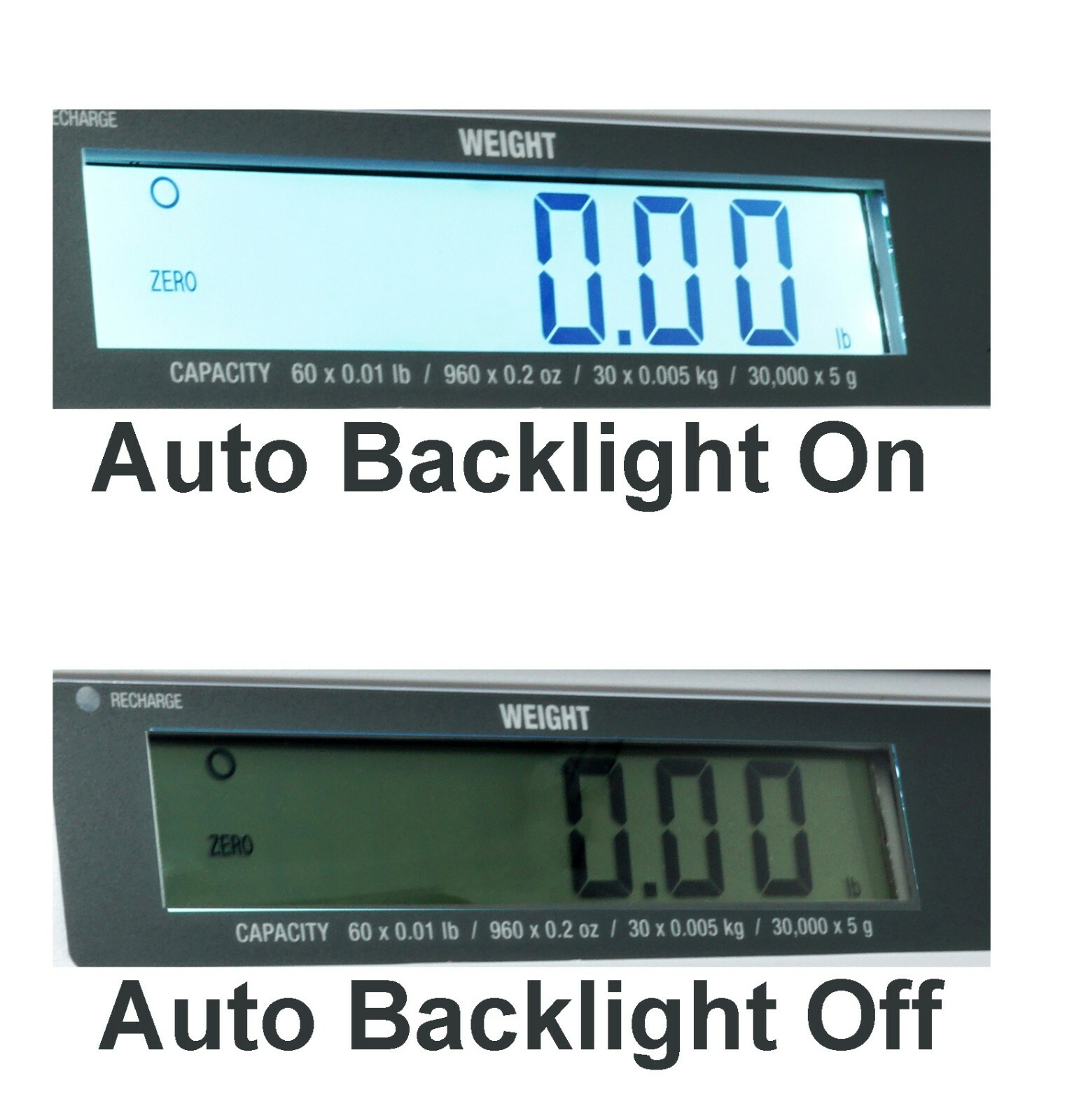 Easy Weigh PX-6 x 0.001 LB Capacity Battery Operated Portion Control Scale NTEP