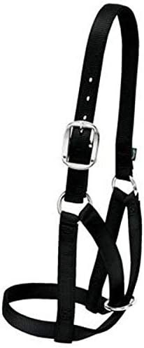 Weaver Livestock Barn Cow Buckle Cattle Halter, Adjustable, Modern Style Cow Cal