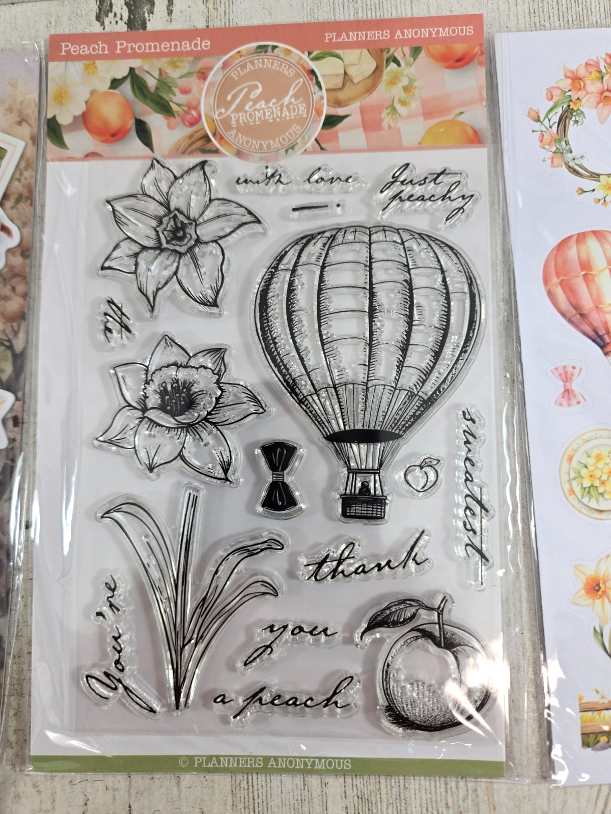 Planners Anonymous Peach Promenade Planner Kit