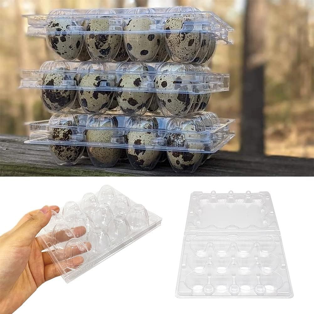 50 Pcs Quail Egg Cartons,12 Grids Small Egg Storage Holders,Quail Eggs Bulk C…