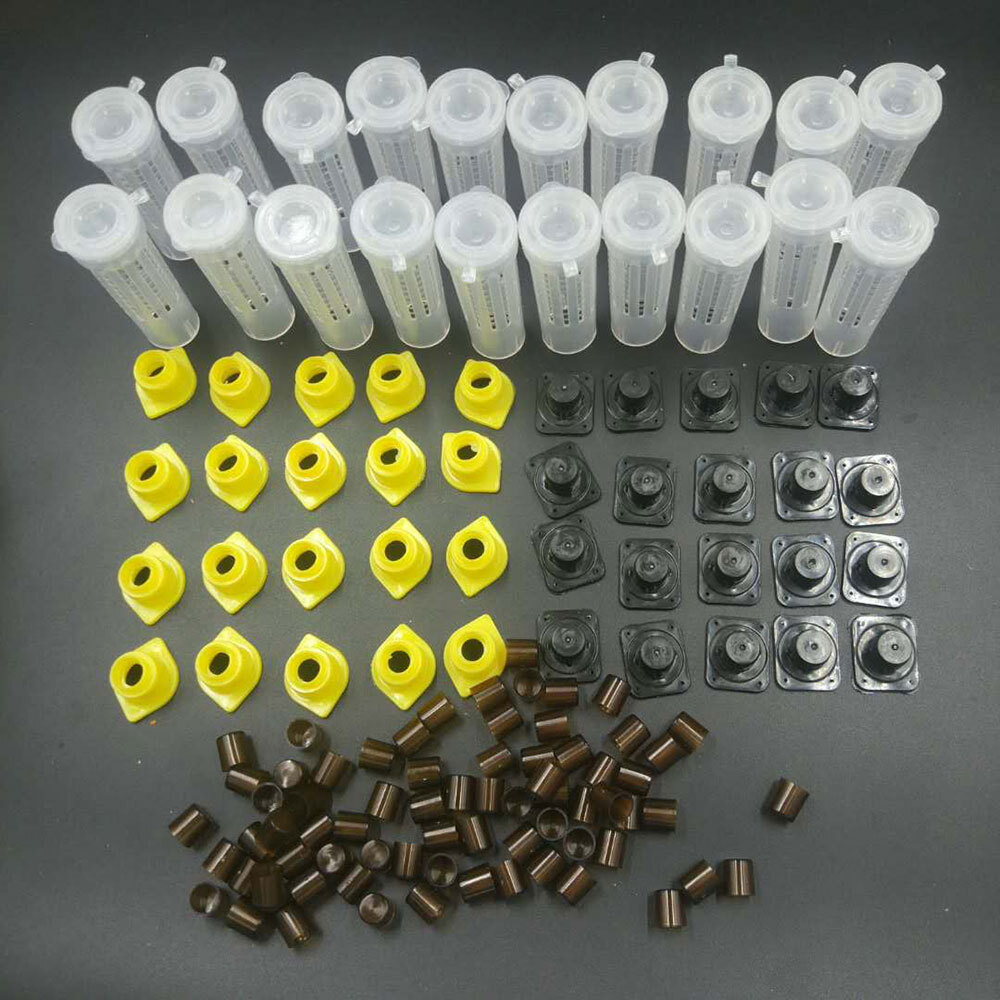 1Set Bees Tools Cages King Queen Apicultura Kit Complete Nicot Cage Cups Cell~