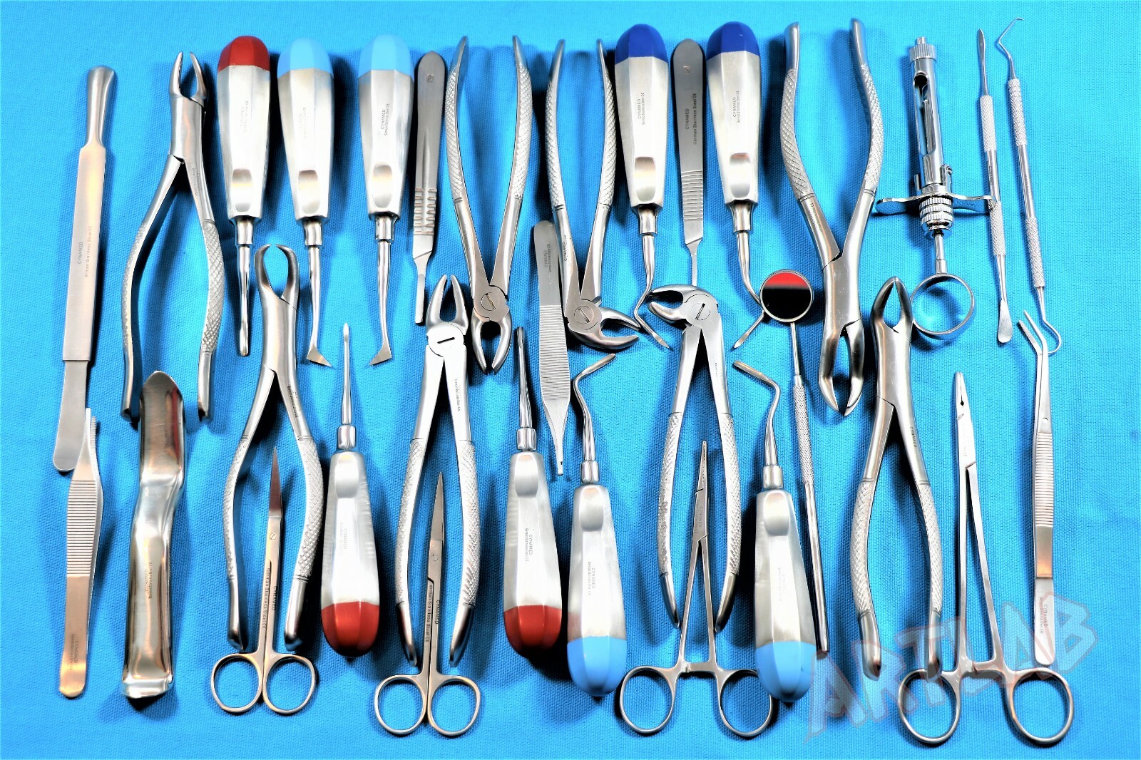 GERMAN 32 Oral Dental Surgery Extraction Extracting Elevators Forceps Instrument
