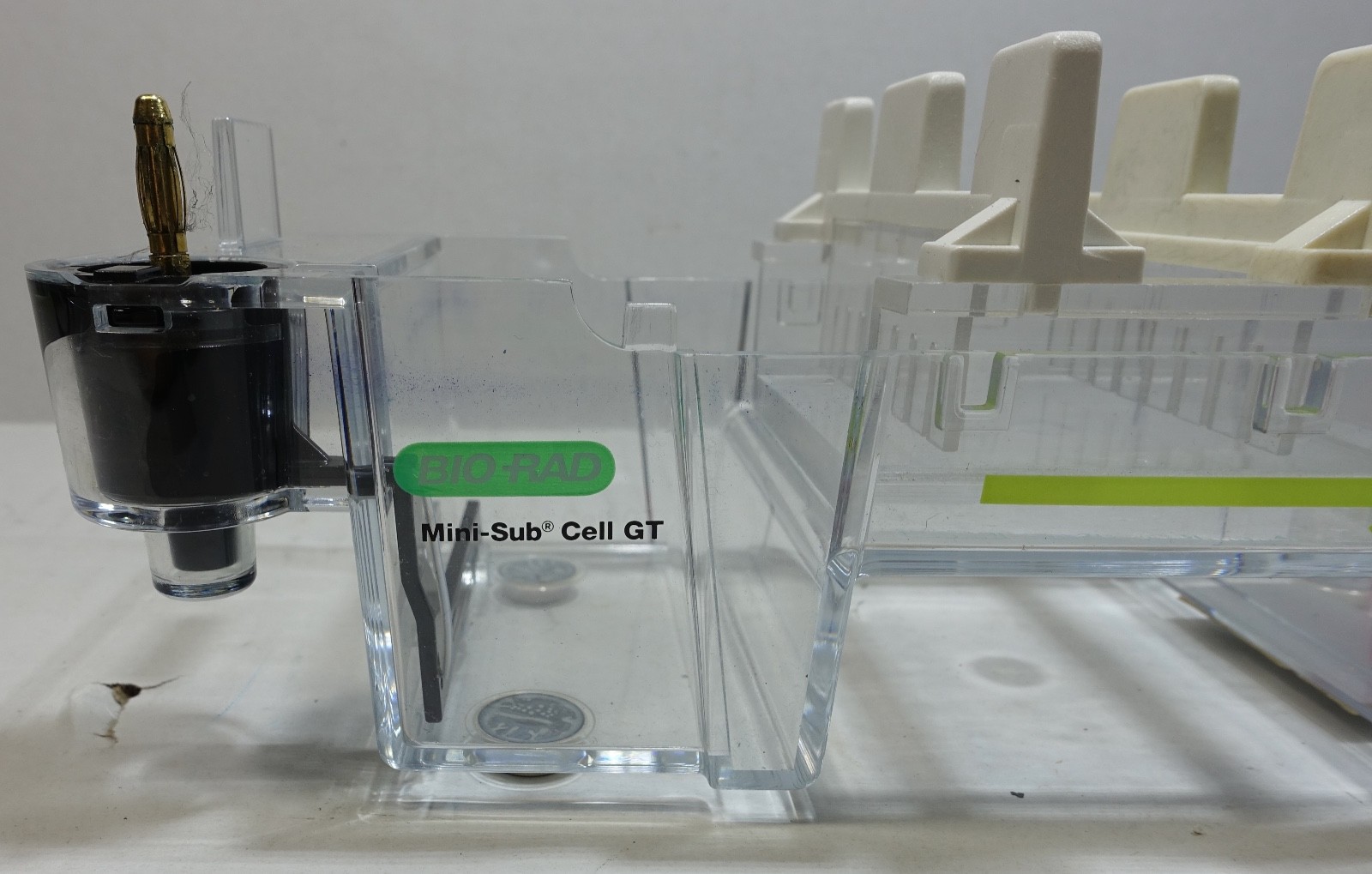 Bio-Rad Mini-Sub Cell GT DNA Electrophoresis Tank, Tray & 2 Combs