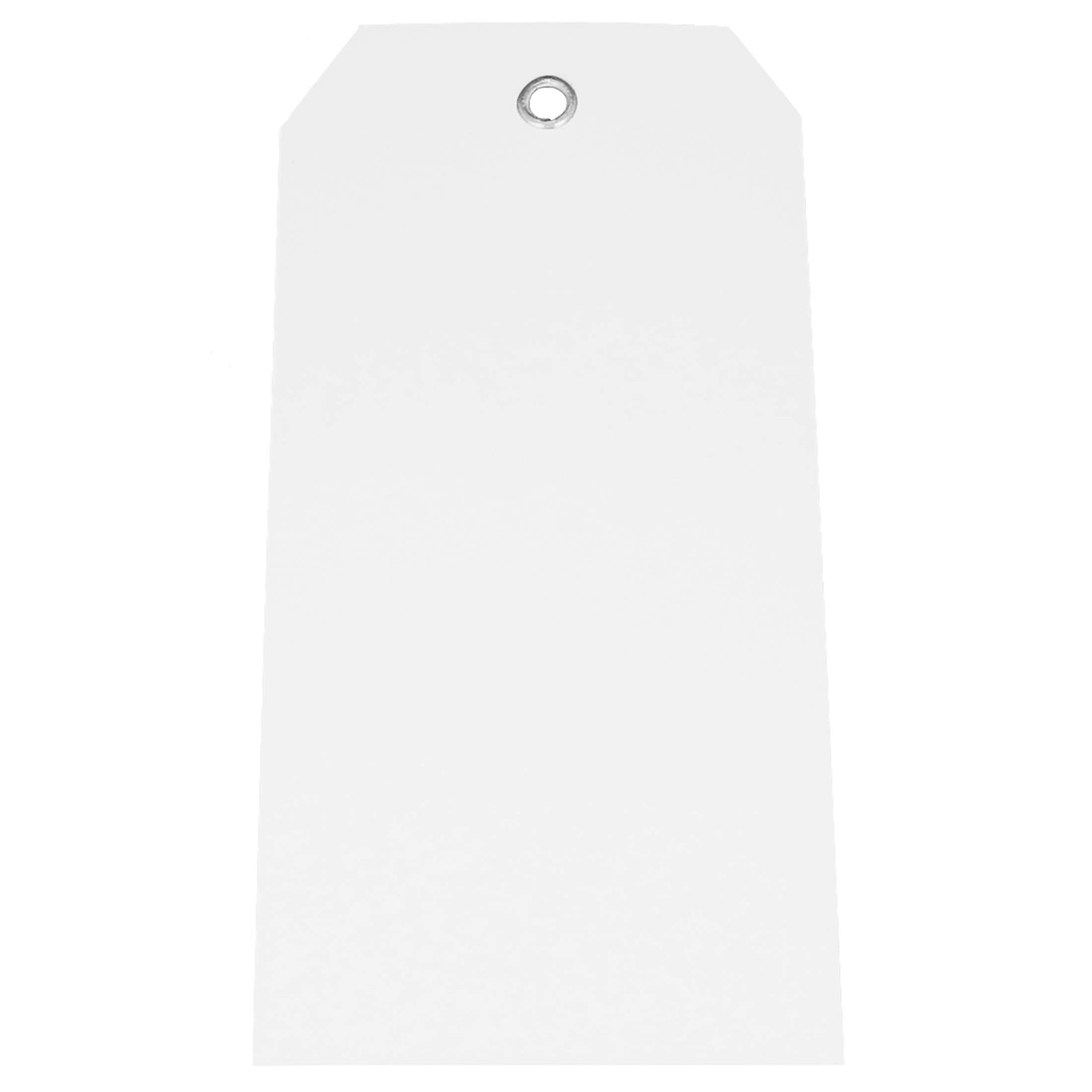 White Plastic Tags – 4.75″ x 2.375″ – 200 Pack – Waterproof and Tear-Resistant