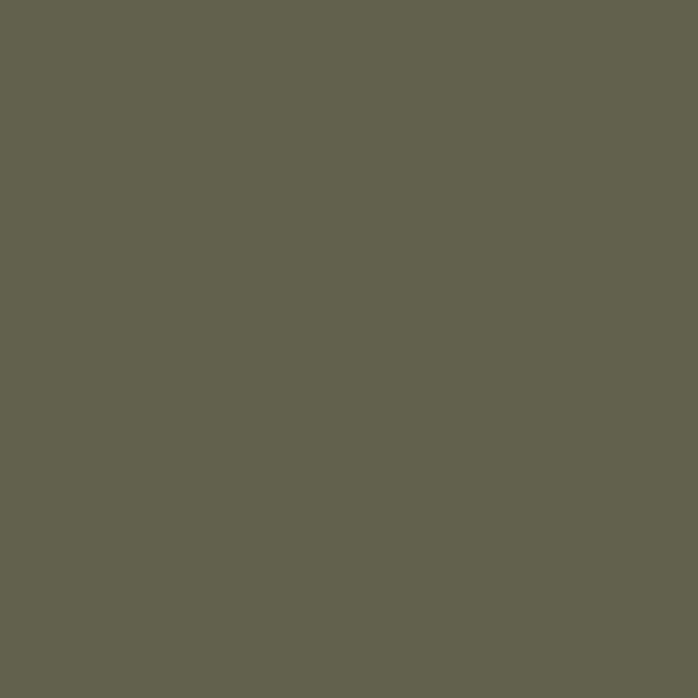Rust-Oleum 249322 Automotive Self Etching Primer Spray, 12 oz, Matte Dark Green