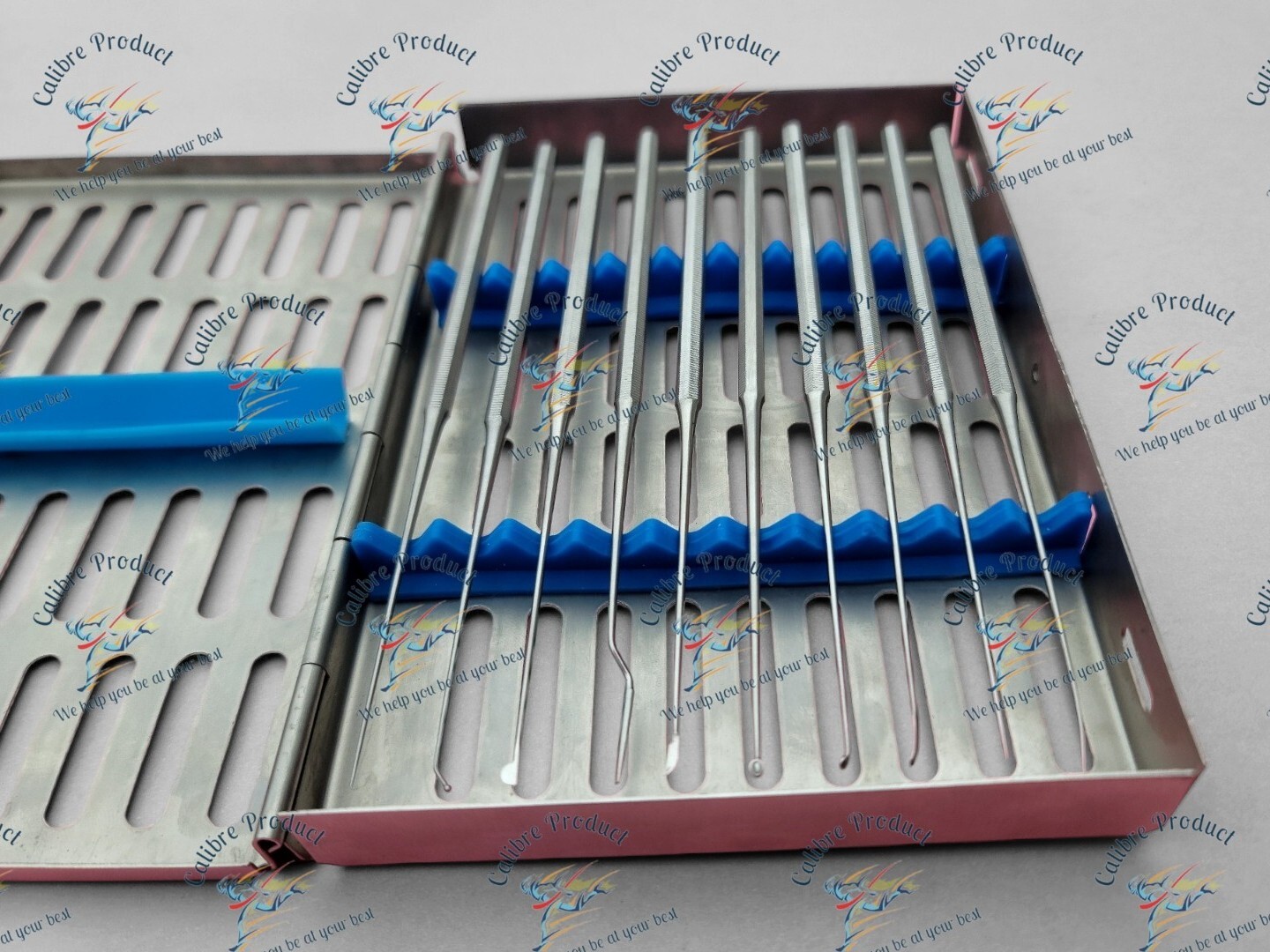 Shea Ear Operation Micro Repositor Set of 10 Pcs Surgical-ENT With Sterlize Box