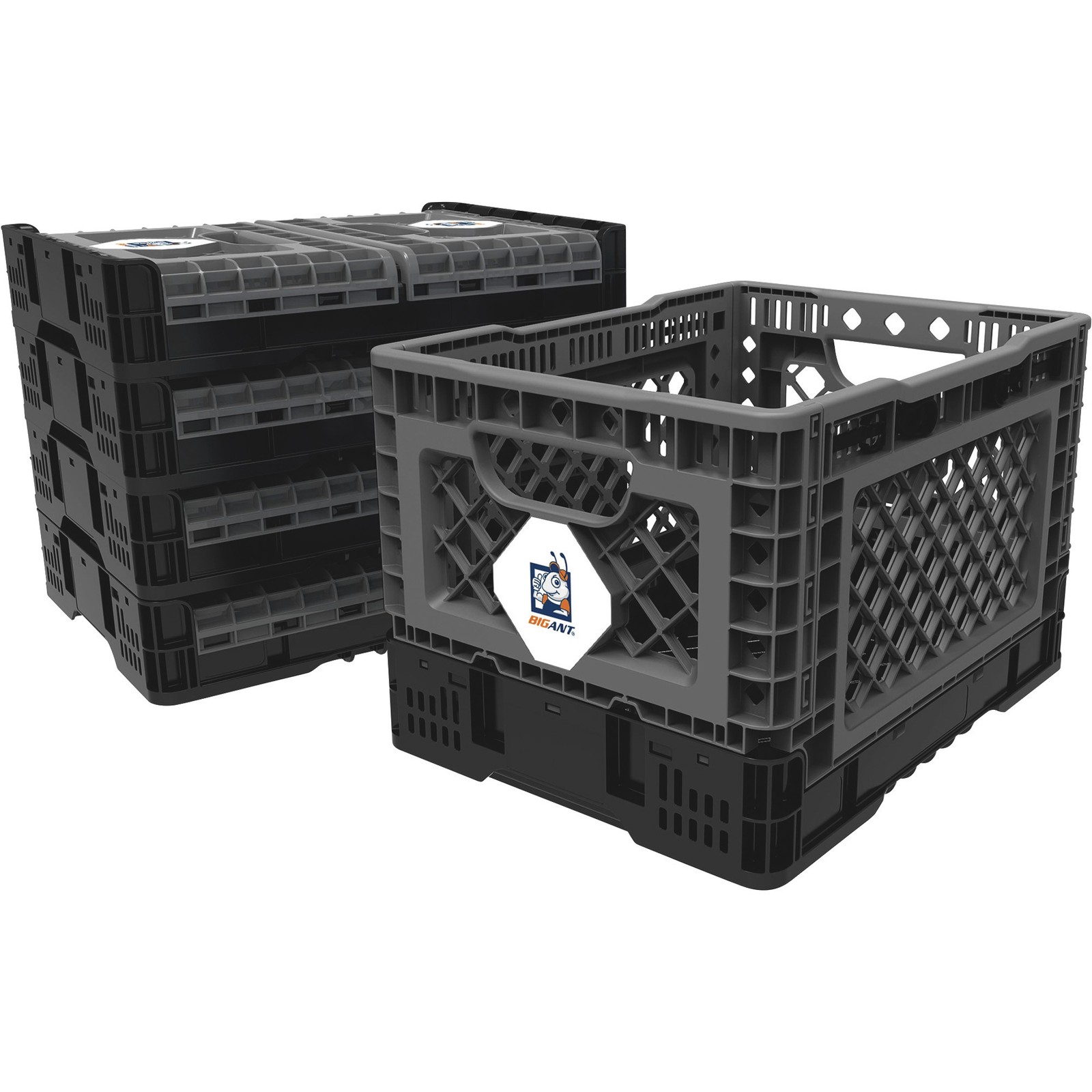 BIG ANT Collapsible Smart Crate, 6-Gallon, 132-Lb. Capacity, 11 5/8in.L x 15