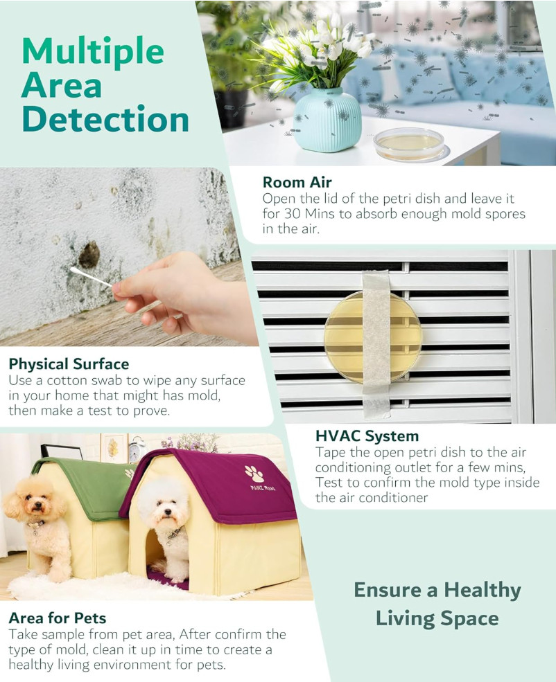 Mold Test Kit for Home Air: DIY Mold Detector with 4 Simple Detection Tests, USA