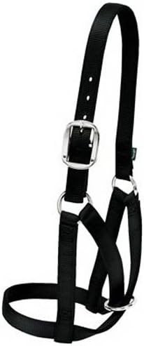 Weaver Livestock Barn Cow Buckle Cattle Halter, Adjustable, Modern Style Cow Cal