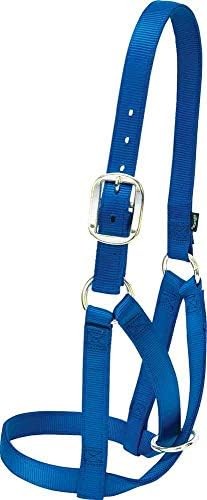 Weaver Livestock Barn Cow Buckle Cattle Halter, Adjustable, Modern Style Cow Cal