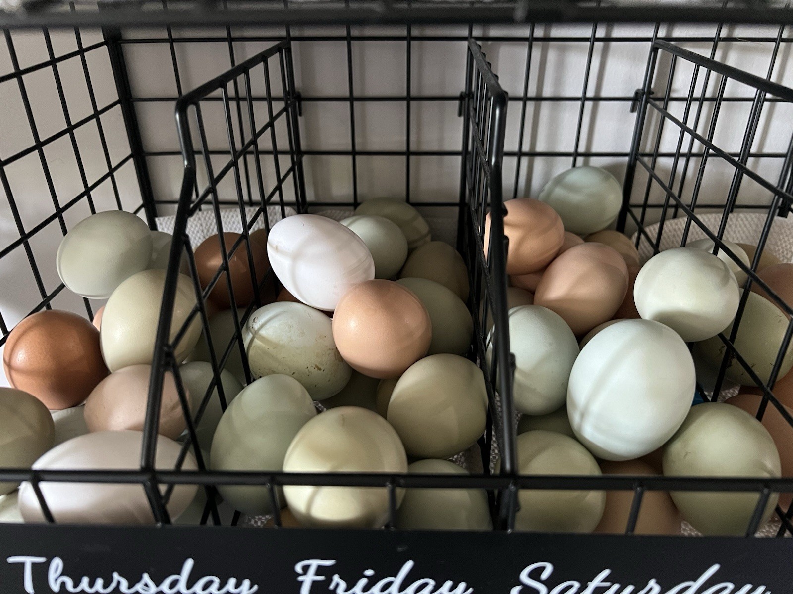 12 Rainbow Barnyard Mix Fertilized Hatching Eggs Free Range Farm Fresh NPIP